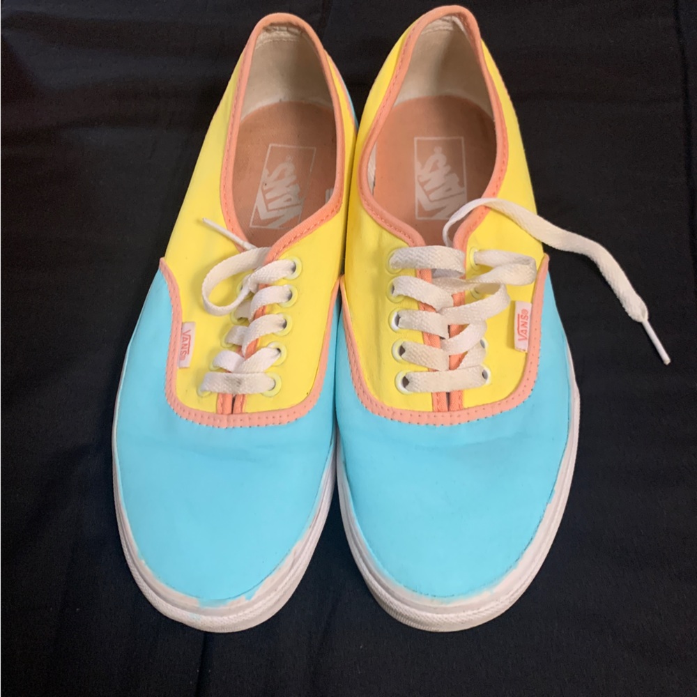 Hand painted Vans